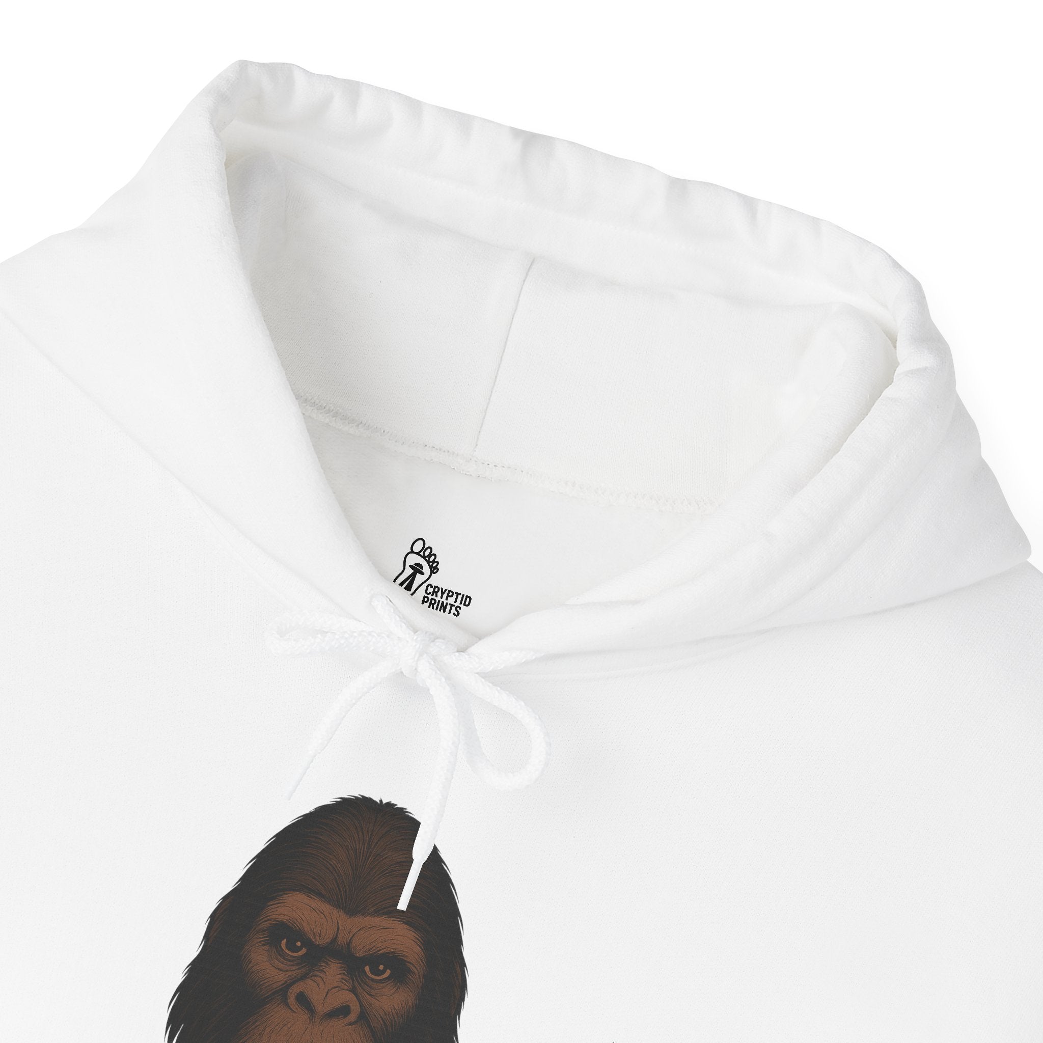 Come Find Me Bro Hoodie - Bigfoot Cryptid Design