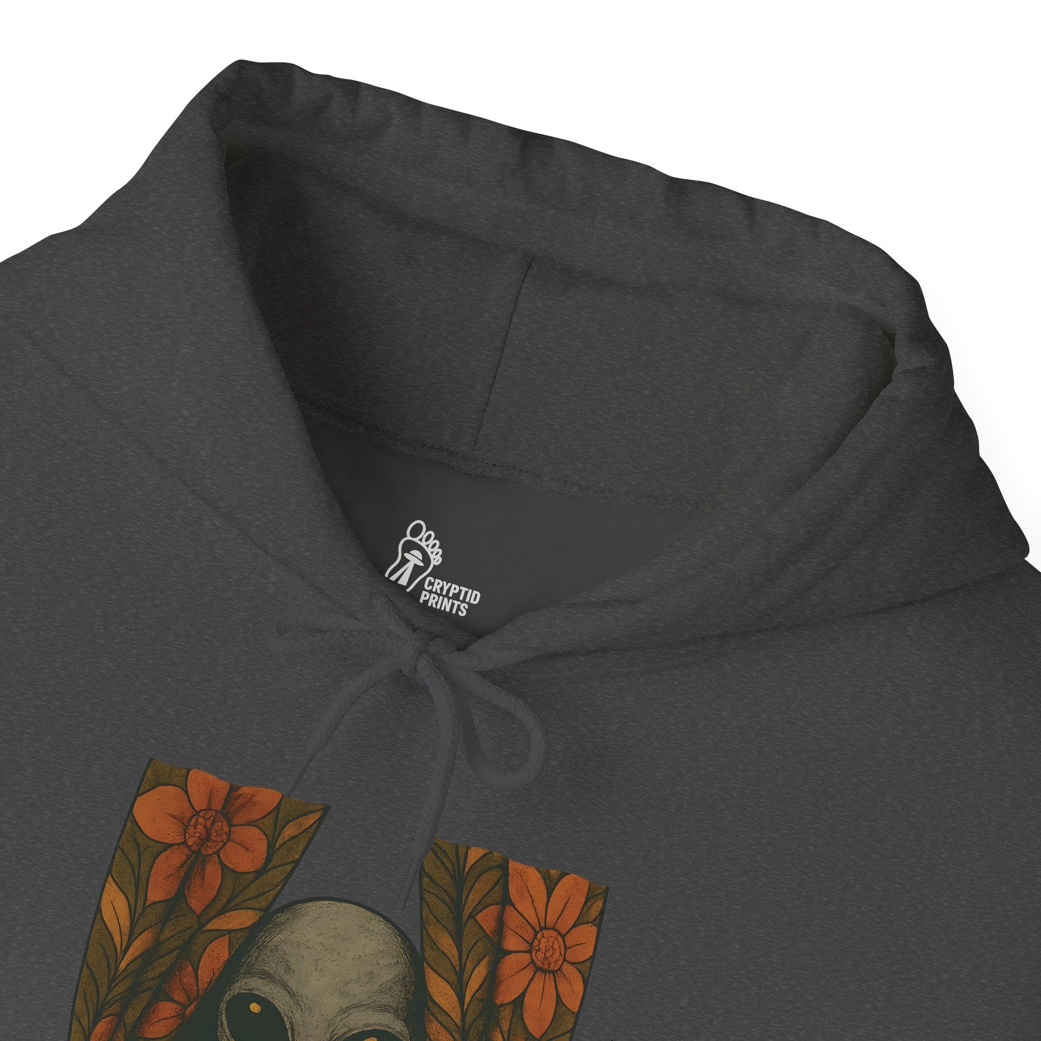 Alien Peeking Window Hoodie - Retro Encounter at Nightfall